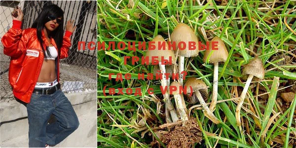 гидра Нягань