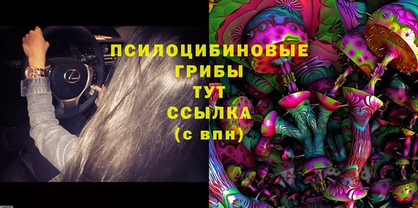 стаф Нязепетровск