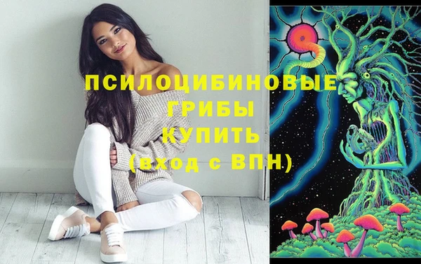 гидра Нягань
