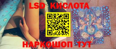 крисы Дубна