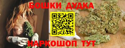 крисы Дубна