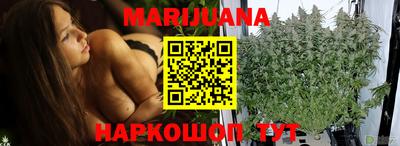 крисы Дубна