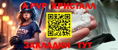 крисы Дубна