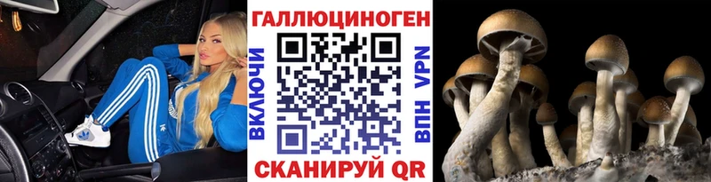 хочу   Сальск  Псилоцибиновые грибы MAGIC MUSHROOMS 